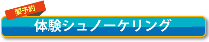 体験シュノーケリング