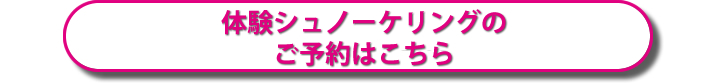 ウォーターバードで体験してみませんか？ー