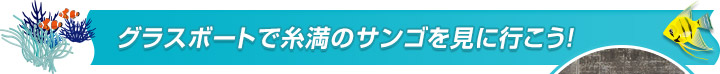 グラスボートで糸満のサンゴを見に行こう！