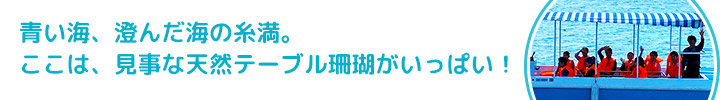 青い海、澄んだ海の糸満。ここは、見事な天然テーブル珊瑚がいっぱい！！