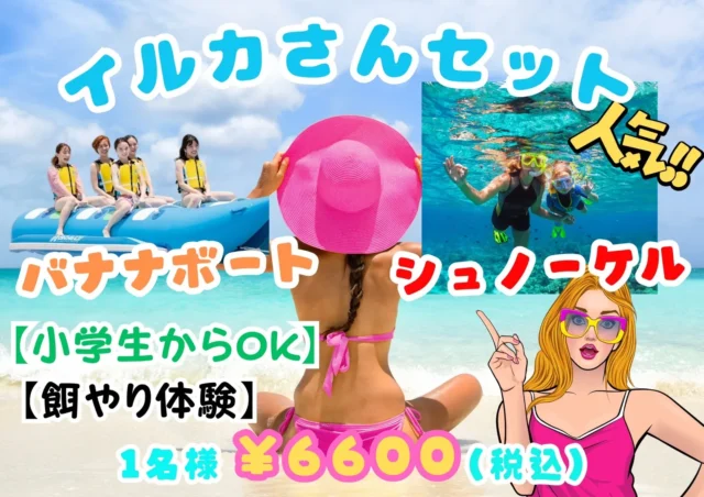 イルカさんセット