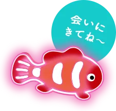 会いにきてね～