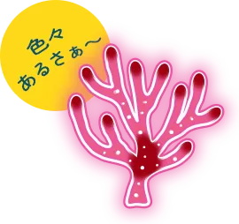 色々あるさぁ～